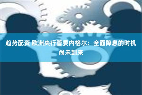 趋势配资 欧洲央行管委内格尔：全面降息的时机尚未到来