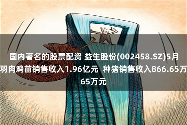 国内著名的股票配资 益生股份(002458.SZ)5月白羽肉鸡苗销售收入1.96亿元  种猪销售收入866.65万元