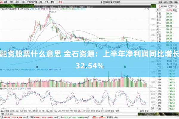 融资股票什么意思 金石资源：上半年净利润同比增长32.54%