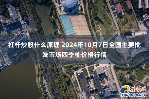 杠杆炒股什么原理 2024年10月7日全国主要批发市场四季柚价格行情