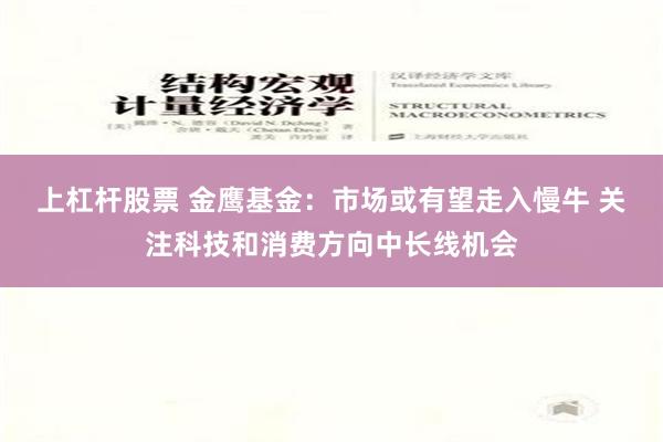 上杠杆股票 金鹰基金：市场或有望走入慢牛 关注科技和消费方向中长线机会