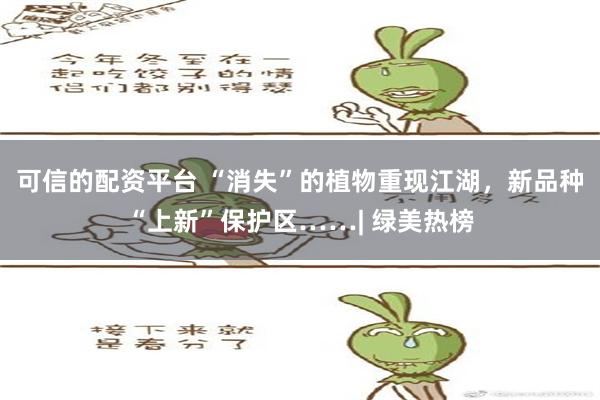 可信的配资平台 “消失”的植物重现江湖，新品种“上新”保护区……| 绿美热榜