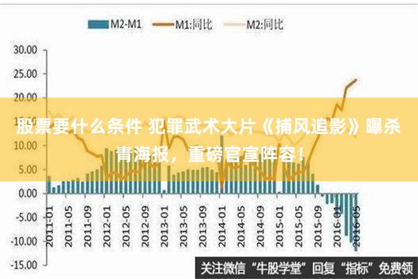 股票要什么条件 犯罪武术大片《捕风追影》曝杀青海报，重磅官宣阵容！